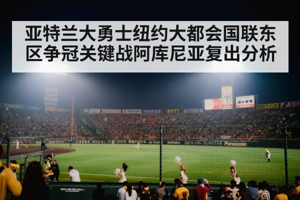 baseball stadium crowd night